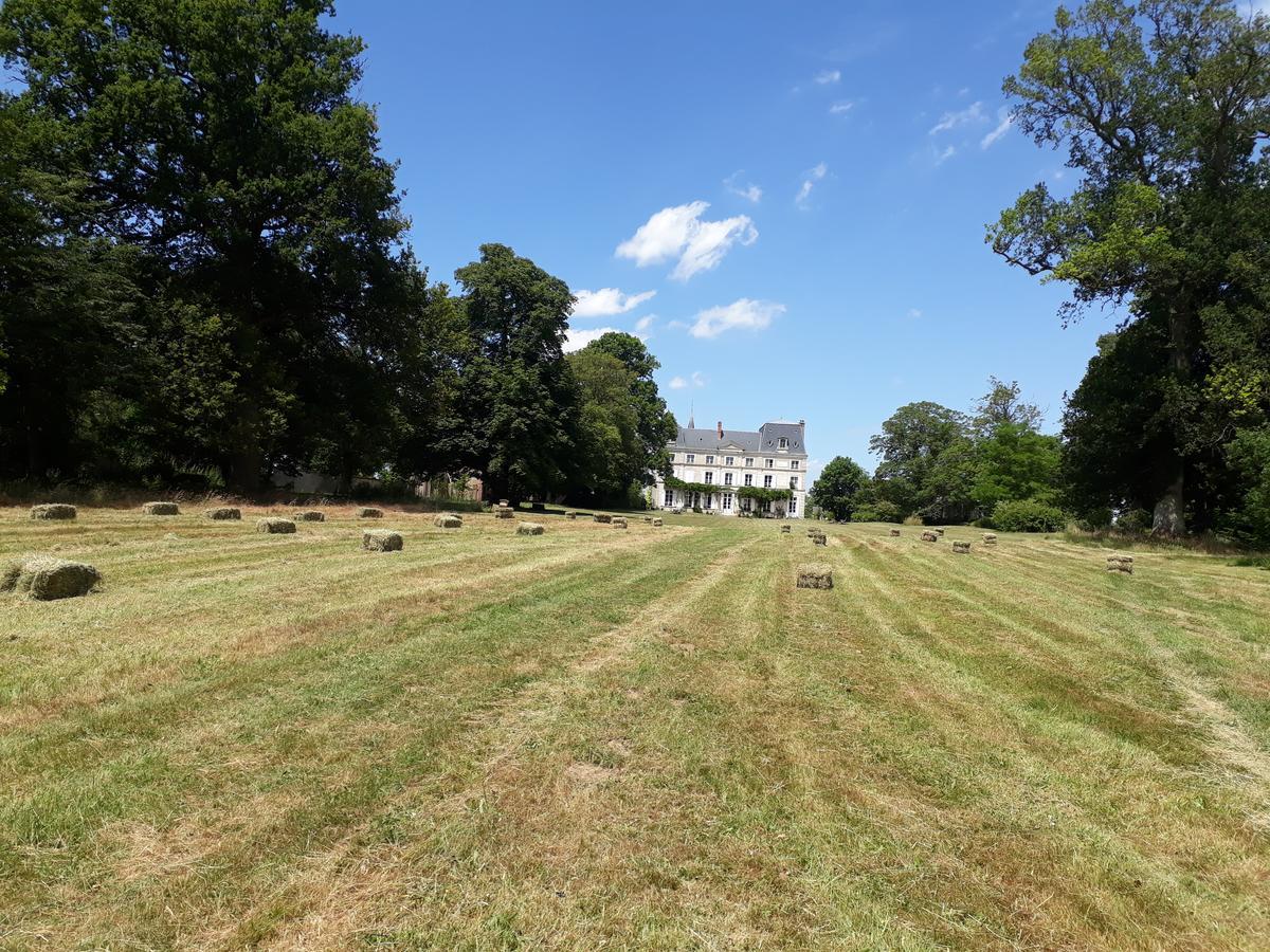 Chambres D'Hotes Chateau De La Puisaye 베르뇔 다브르 에 디통 외부 사진